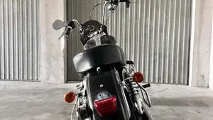 Harley-Davidson 1200 Custom (2007 - 13) - XL 1200C  (4)