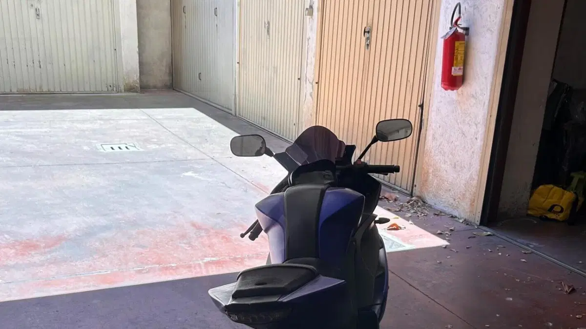 Yamaha YZF R125 (2014 - 16)  (6)