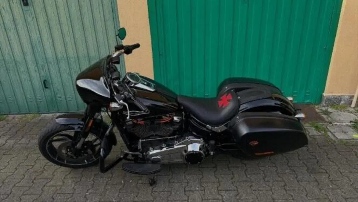 Harley-Davidson 107 Sport Glide (2018 - 20)  (2)