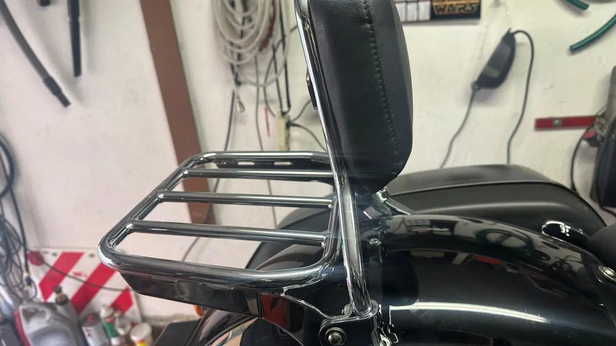 Harley-Davidson 107 Sport Glide (2018 - 20)  (5)