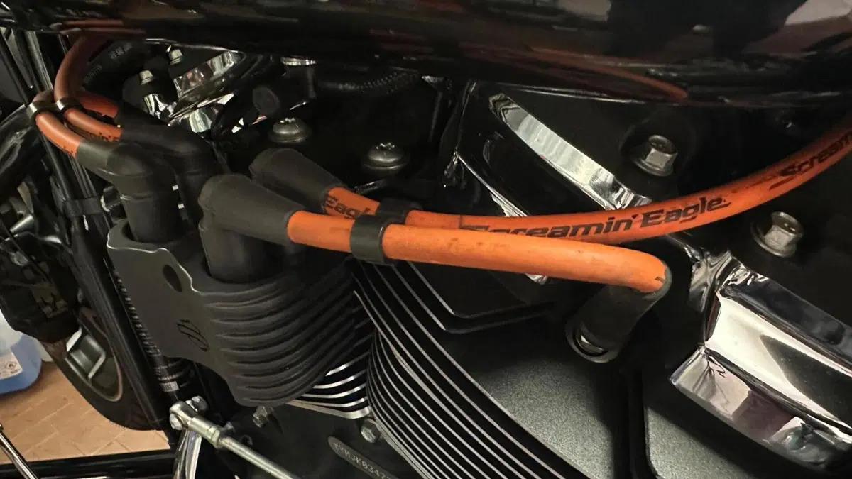Harley-Davidson 107 Sport Glide (2018 - 20)  (7)
