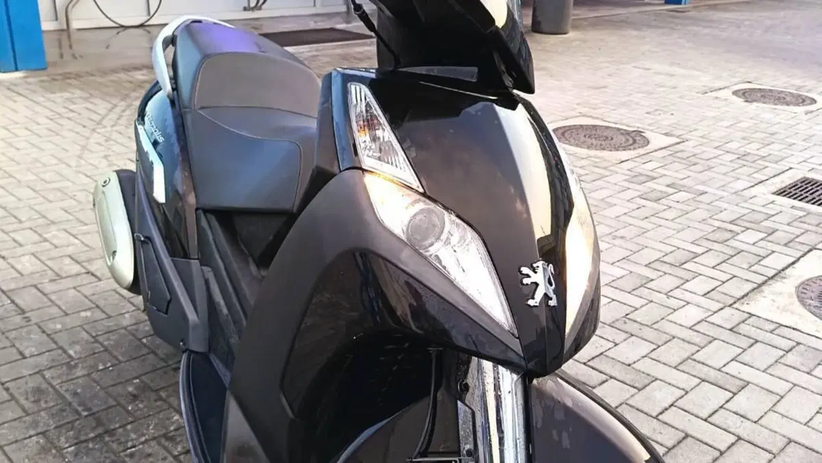 Peugeot Geopolis 300 (2013 -15)  (2)