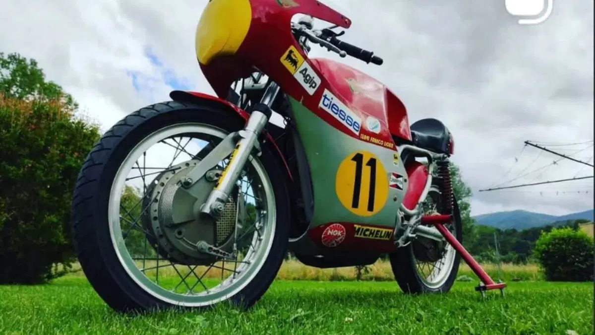 Ducati   (3)