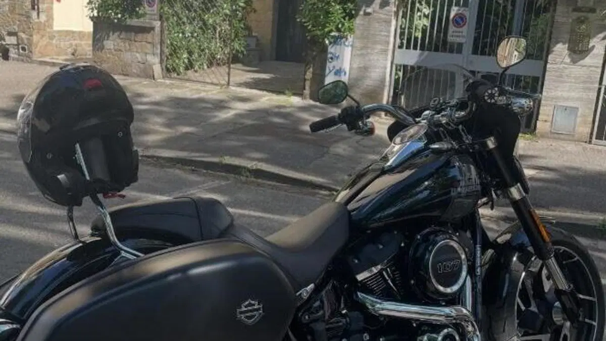 Harley-Davidson Sport Glide (2021 - 25)  (3)
