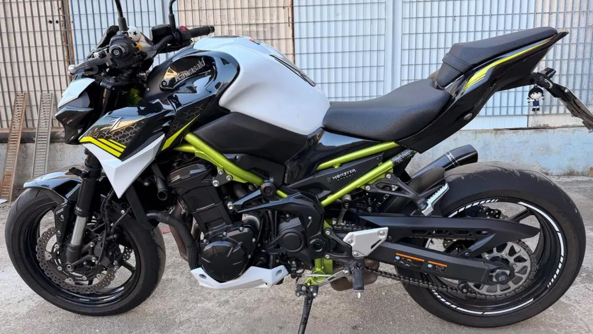Kawasaki Z 900 (2020)  (2)