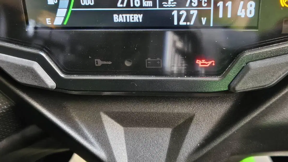Kawasaki Ninja ZX-4RR (2024 - 26)  (5)