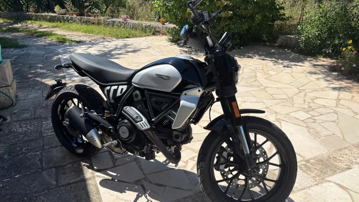 Ducati Scrambler 800 Icon (2023 - 24)  (2)