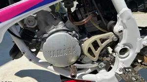 Yamaha   (17)