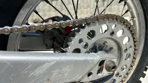 Yamaha   (19)