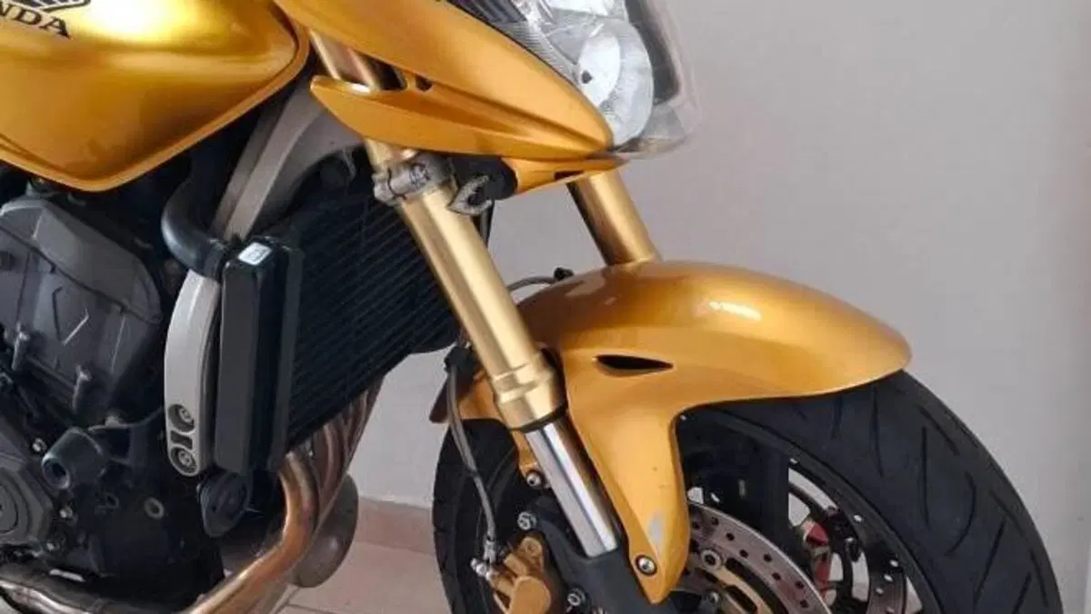 Honda Hornet 600 (2007 - 10)  (7)