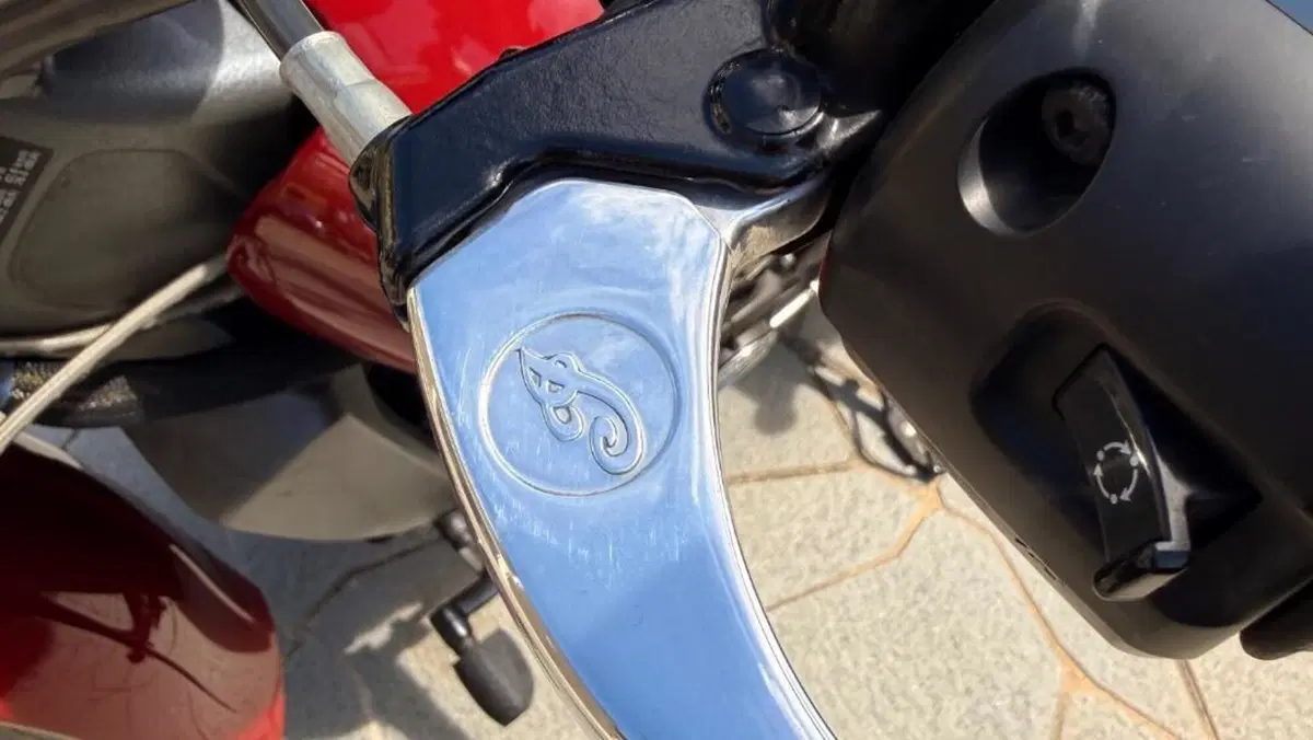 Indian Scout 1133 (2017 - 19)  (16)