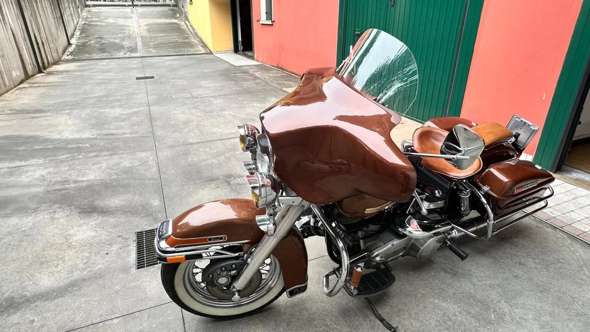 Harley-Davidson   (3)
