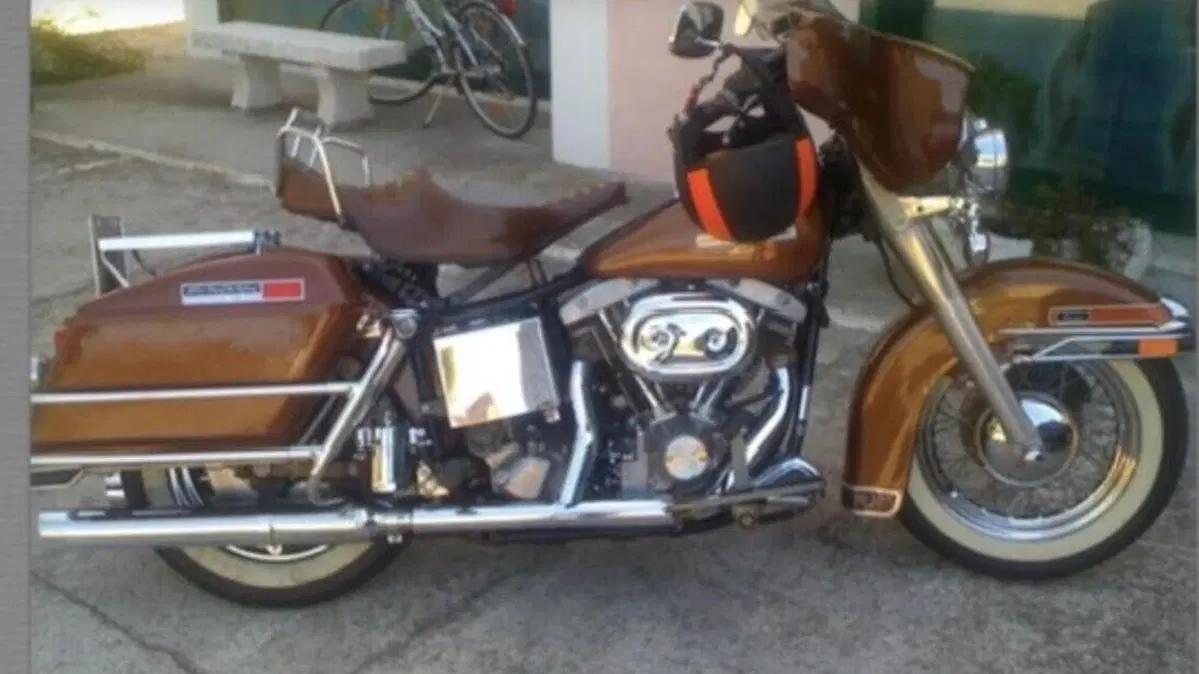 Harley-Davidson   (4)