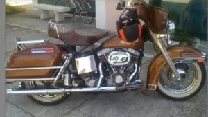Harley-Davidson   (4)