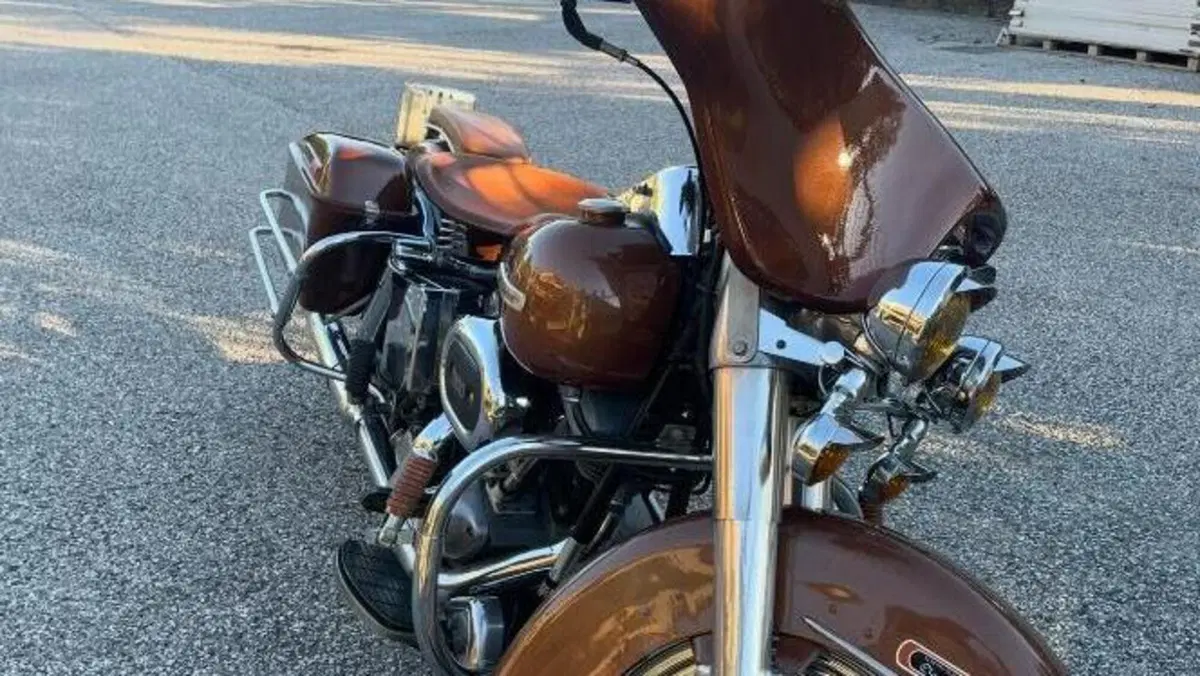 Harley-Davidson   (8)