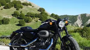Harley-Davidson 1200 Roadster (2016 - 2017) - XL 1200R 