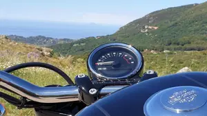 Harley-Davidson 1200 Roadster (2016 - 2017) - XL 1200R  (2)