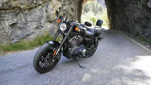 Harley-Davidson 1200 Roadster (2016 - 2017) - XL 1200R  (3)