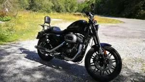 Harley-Davidson 1200 Roadster (2016 - 2017) - XL 1200R  (4)