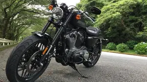 Harley-Davidson 1200 Roadster (2016 - 2017) - XL 1200R  (5)