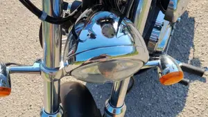 Harley-Davidson 1200 Custom (2007 - 13) - XL 1200C  (5)