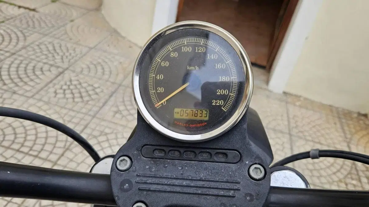 Harley-Davidson 1200 Roadster (2006 - 08) - XL 1200R  (2)
