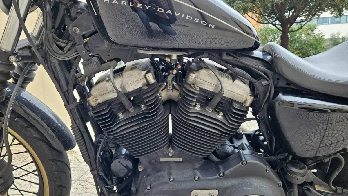 Harley-Davidson 1200 Roadster (2006 - 08) - XL 1200R  (5)