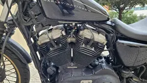 Harley-Davidson 1200 Roadster (2006 - 08) - XL 1200R  (5)