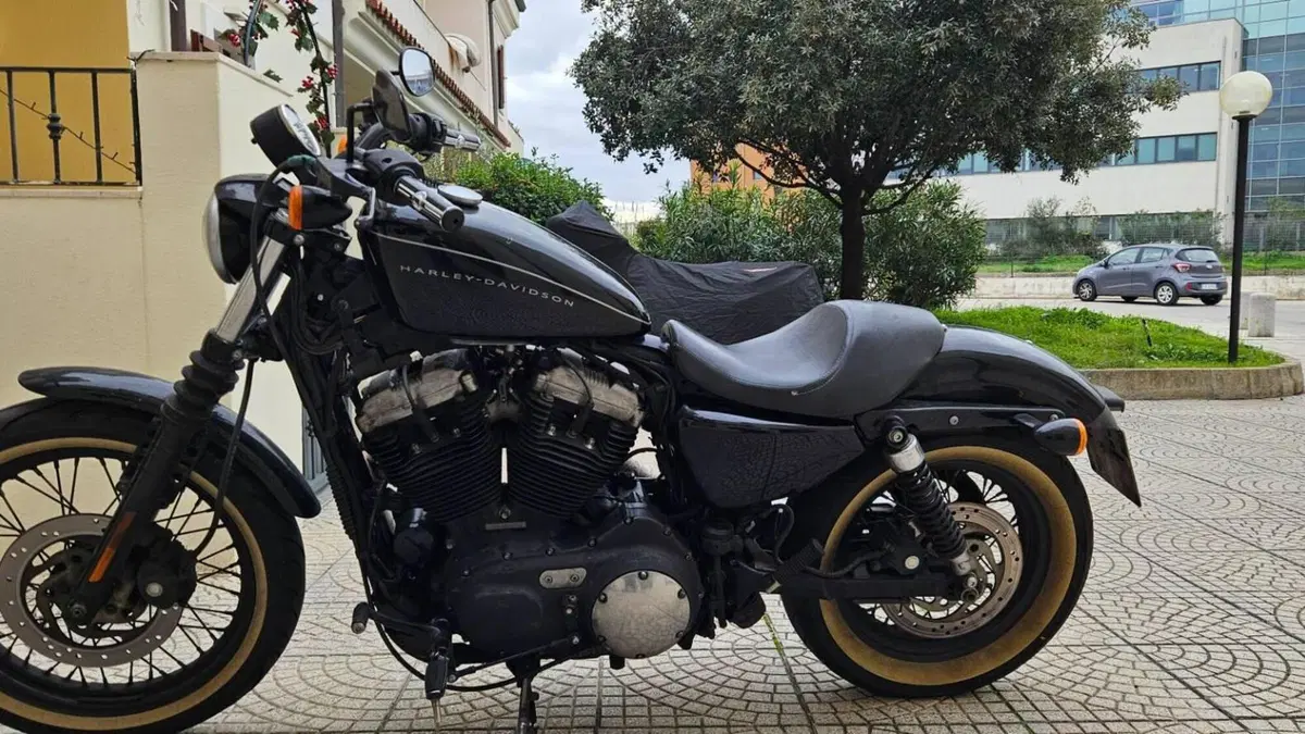 Harley-Davidson 1200 Roadster (2006 - 08) - XL 1200R  (6)