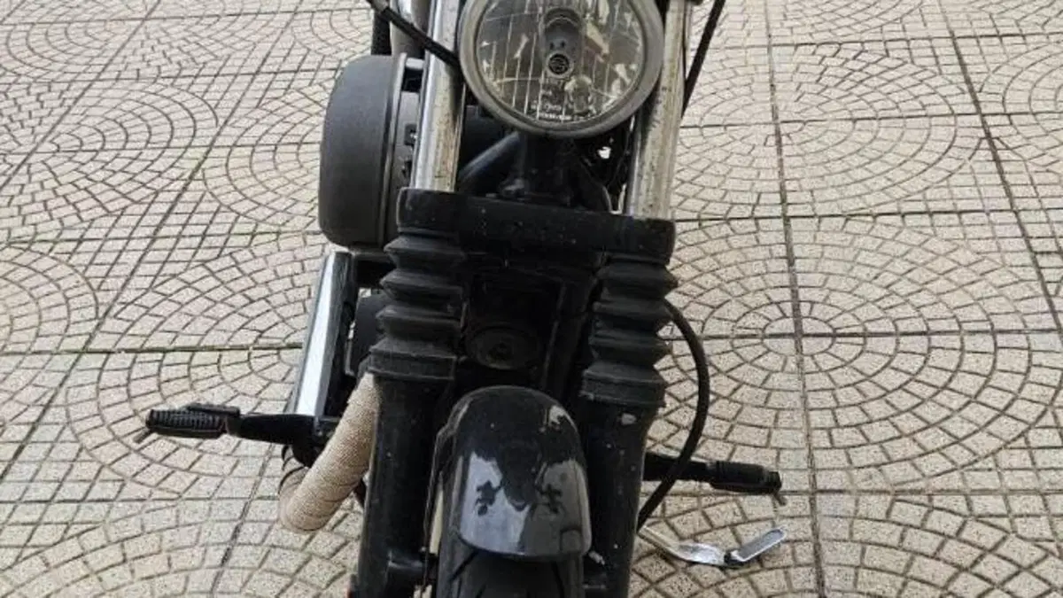 Harley-Davidson 1200 Roadster (2006 - 08) - XL 1200R  (7)
