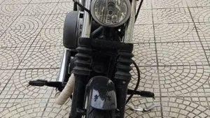 Harley-Davidson 1200 Roadster (2006 - 08) - XL 1200R  (7)