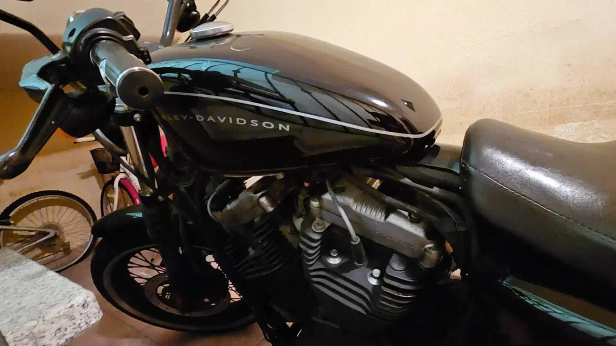 Harley-Davidson 1200 Roadster (2006 - 08) - XL 1200R  (8)