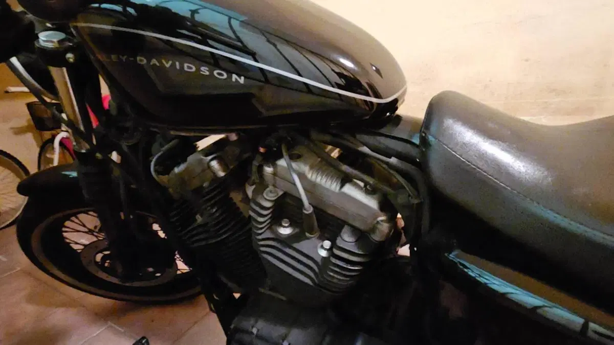 Harley-Davidson 1200 Roadster (2006 - 08) - XL 1200R  (9)