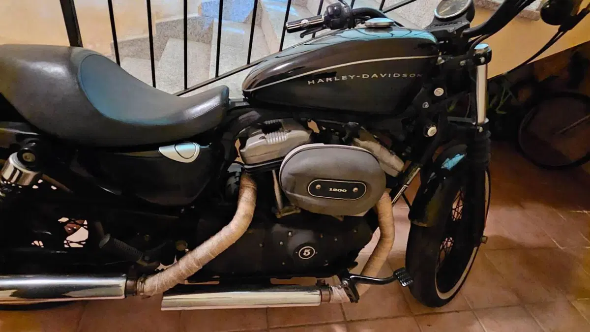 Harley-Davidson 1200 Roadster (2006 - 08) - XL 1200R  (10)