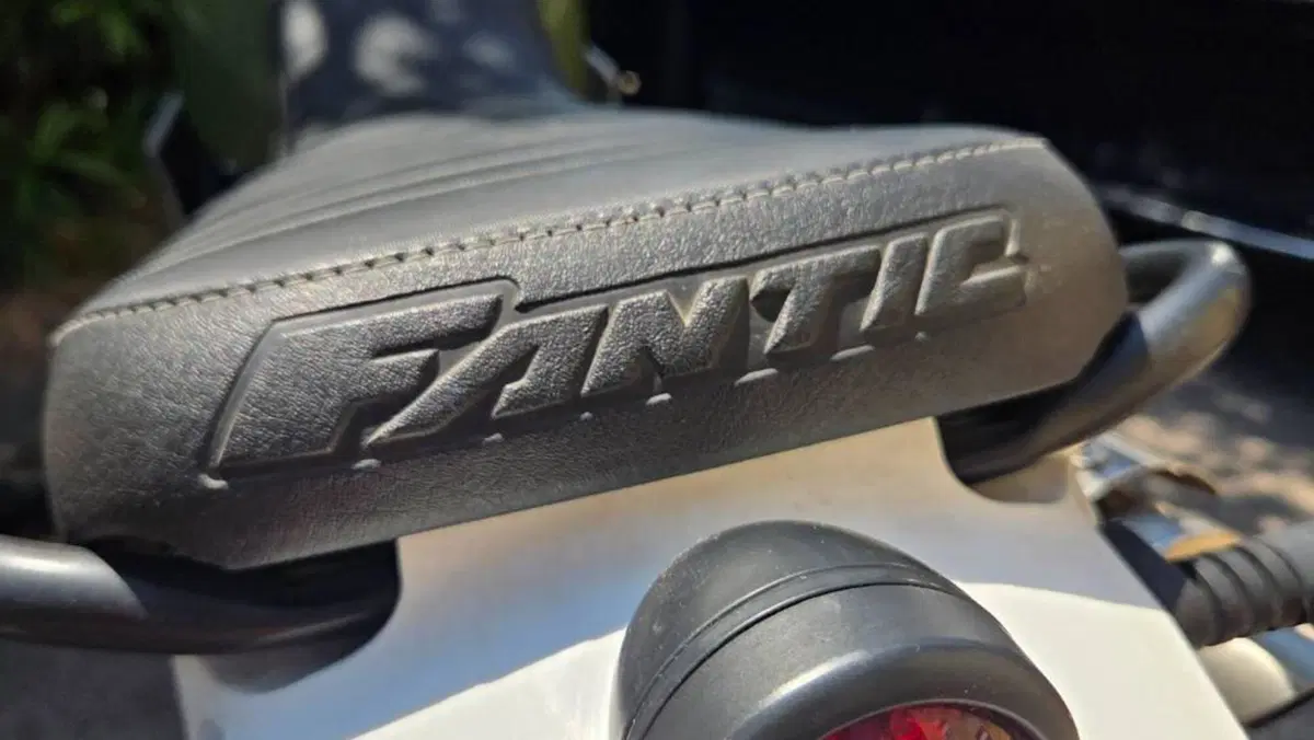 Fantic Motor Caballero 500 Scrambler (2021 - 23)  (4)