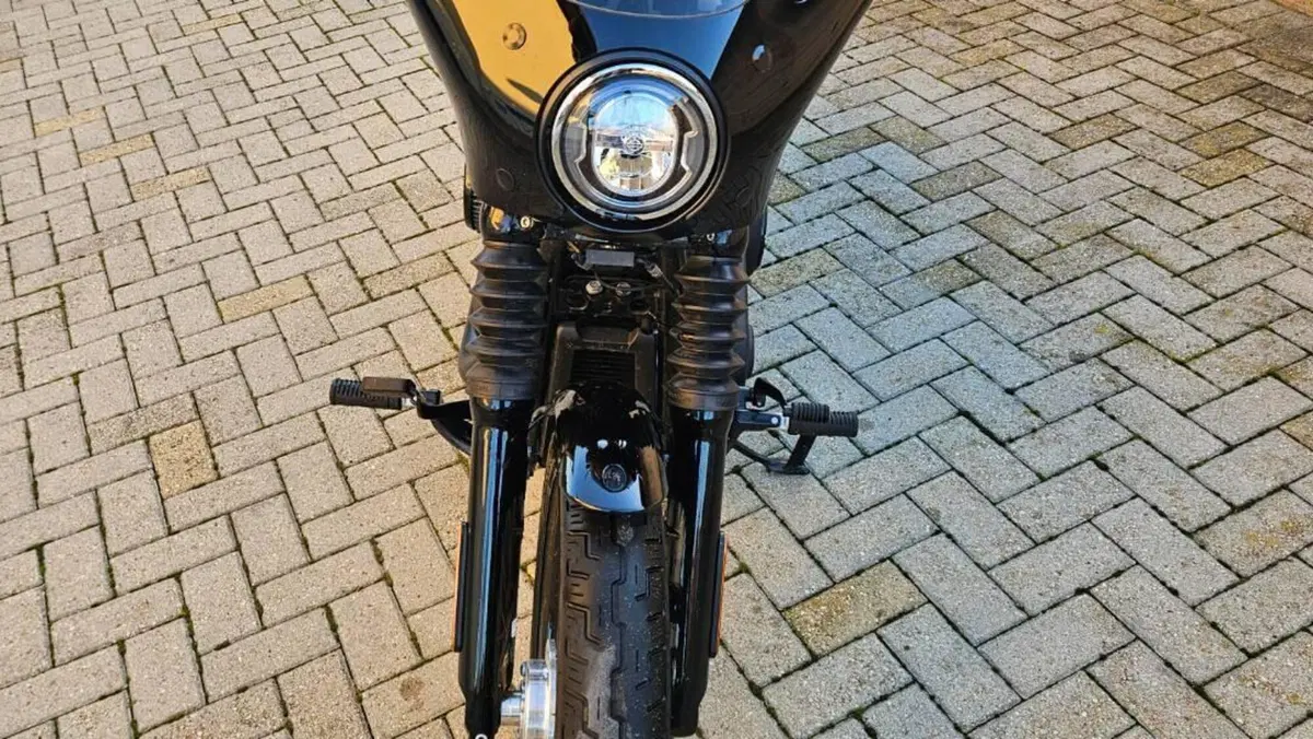 Harley-Davidson Street Bob 114 (2021 - 24)  (3)