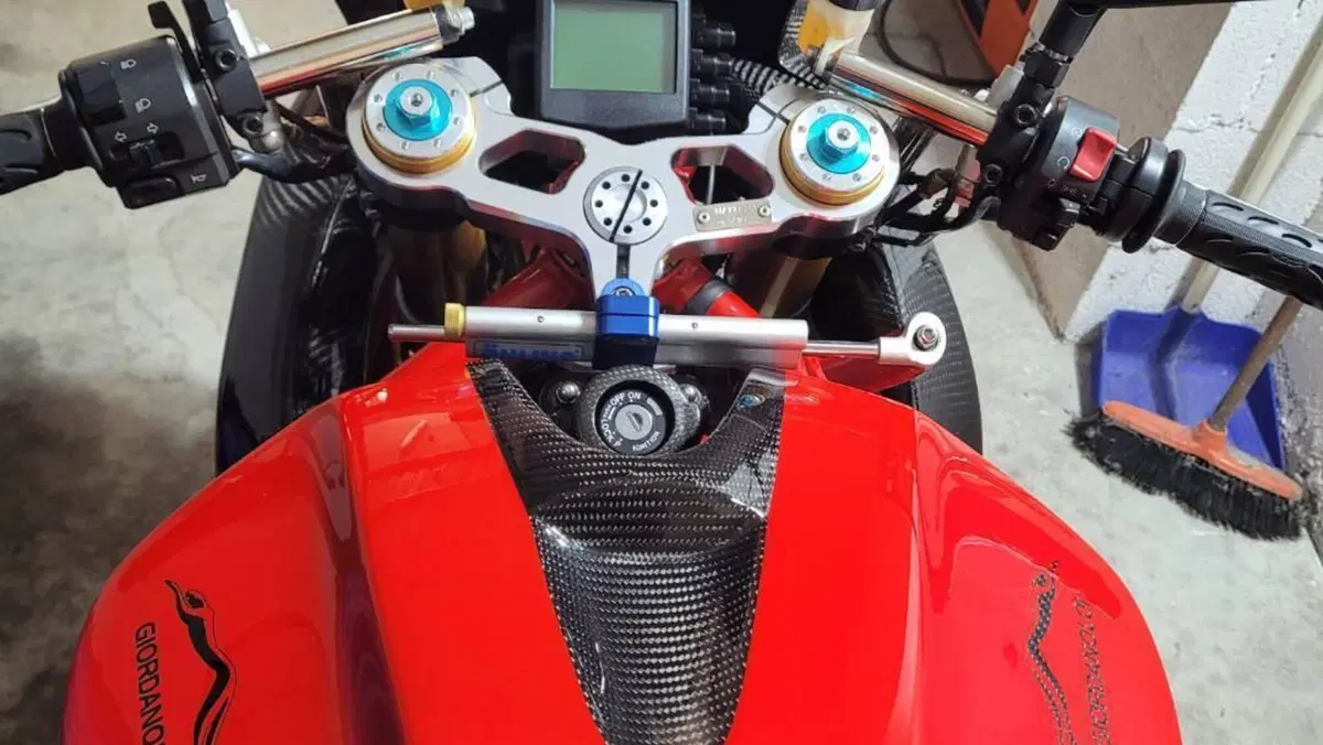 Ducati 999 S (2005 - 06)  (3)