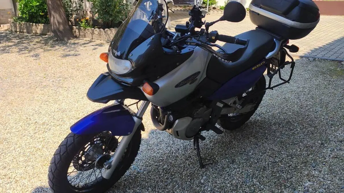 Suzuki XF 650 Dep (1997 - 99)  (3)