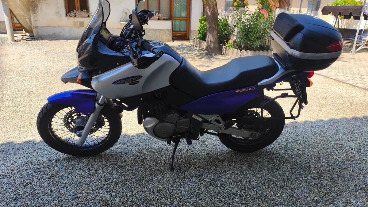 Suzuki XF 650 Dep (1997 - 99)  (4)