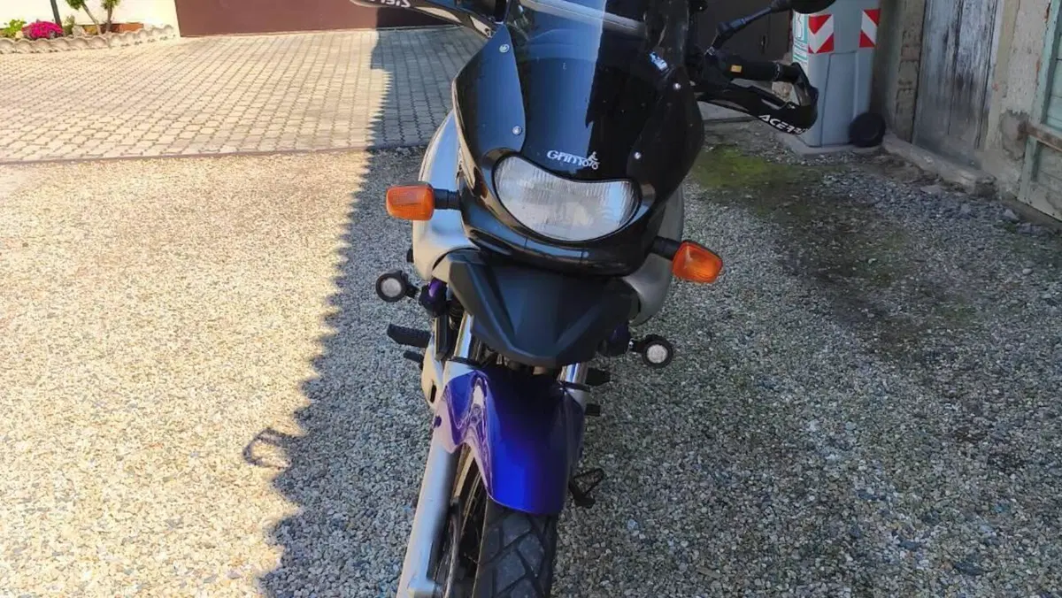 Suzuki XF 650 Dep (1997 - 99)  (5)