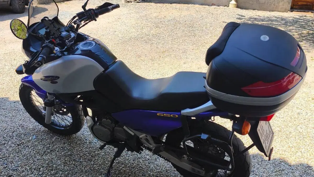 Suzuki XF 650 Dep (1997 - 99)  (6)