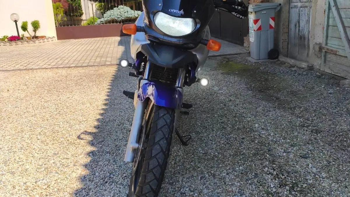 Suzuki XF 650 Dep (1997 - 99)  (7)
