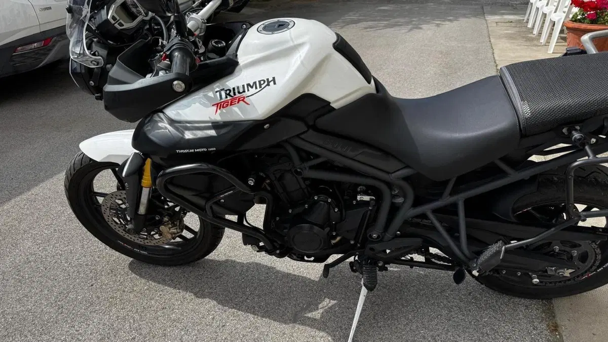 Triumph Tiger 800 (2010 - 14)  (4)