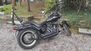 Harley-Davidson 1584 Night Train (2006 - 07) - FXSTB  (4)