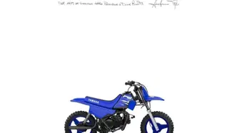 Yamaha PW 50 (2023) nuova