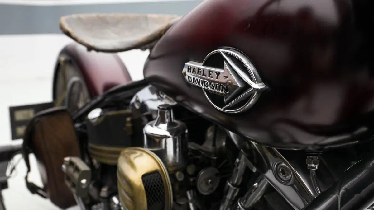 Harley-Davidson   (10)