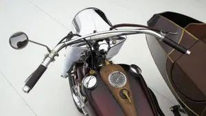 Harley-Davidson   (15)