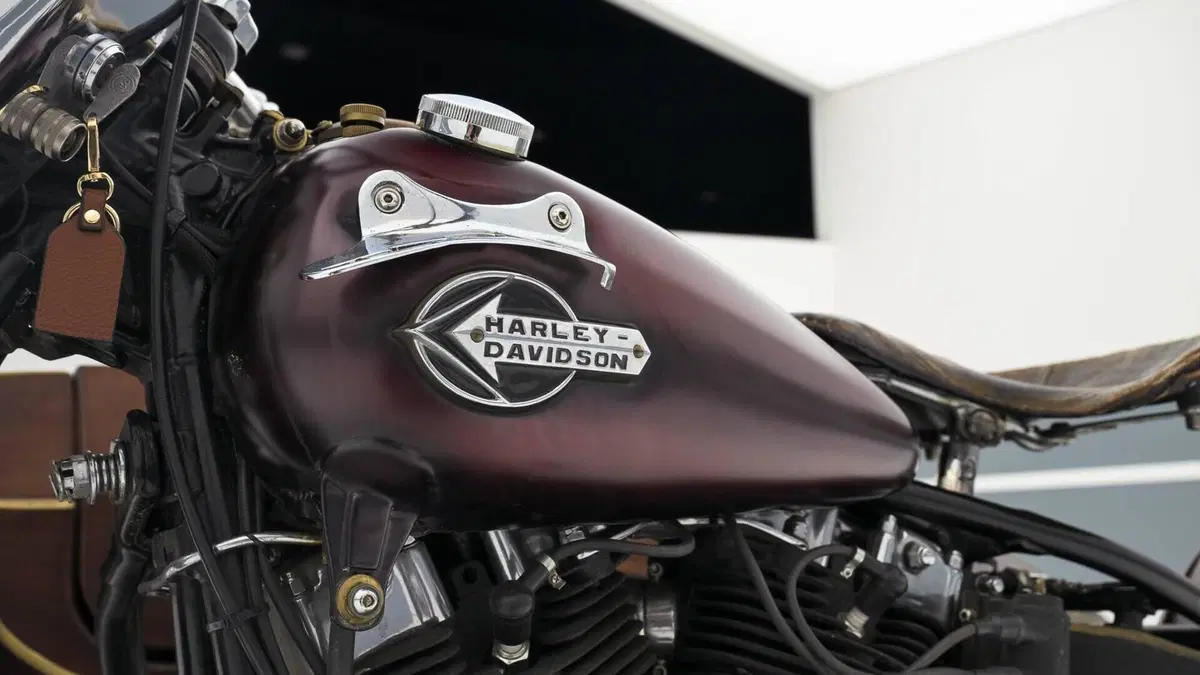 Harley-Davidson   (17)