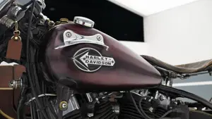 Harley-Davidson   (17)