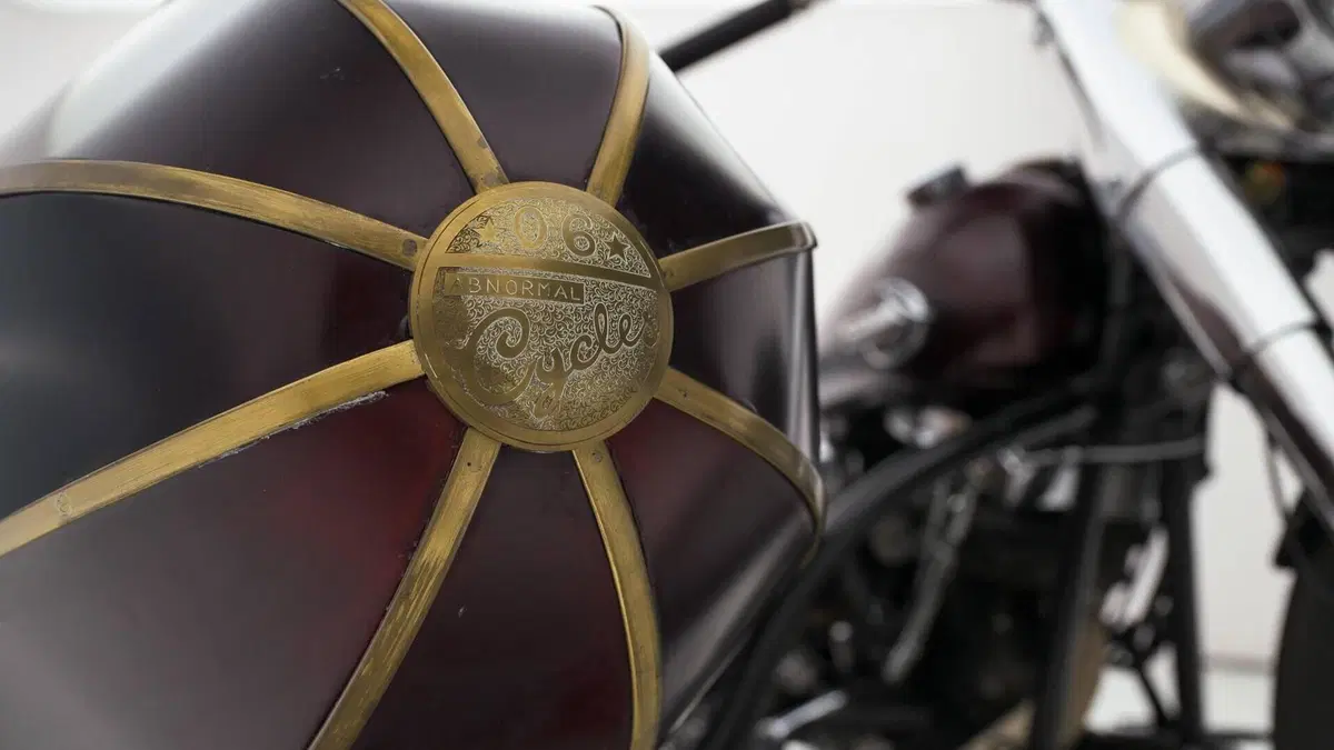 Harley-Davidson   (18)